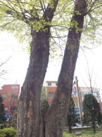 전주 한옥마을에 있는 전동 성당