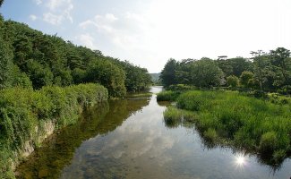 8.4 하회마을, 병산서원, 옥연정사, 부용대, 겸암정사, 영주 무섬, 소수서원, 선비촌,