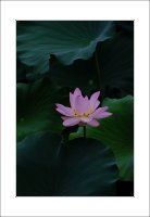 관곡지..9-13