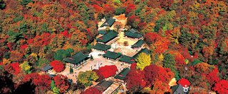 보고 또 보아도 감동을 주는글