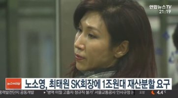 최태원 언론에 혼외자·내연녀 공개 '동거'..노소영 이혼 거부끝에 "1조원 내놔"