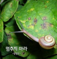 멈추지 마라