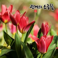 [관계(關係) 의 소중함 ]