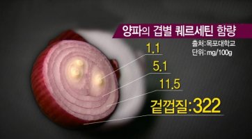 자색양파 - 빨간양파 효능