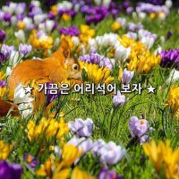 가끔은 어리석어 보자