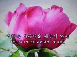 " 늙어 가는 모습은 결국은 똑같더라 "