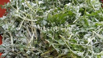 [판매완료]무농약 봄쑥(햇쑥)판매합니다