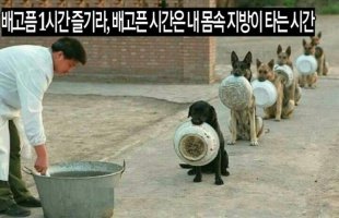 배고픔 1시간을 즐겨라