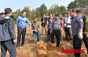 정선군 '복령 인공재배' 현장설명회