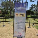 잠실 메이플스토리 팝업 총정리 방문 후기(포토존, 메이플스토리 MD)