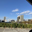 우럼마김밥 | 2025 (11)