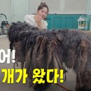 제발 이런일이 없었으면 좋겠습니다 ㅜㅜㅜ 이미지