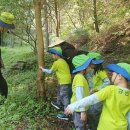 광판초병설유치원 이미지