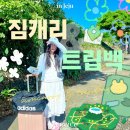 제주 뚜벅이 여행자를 위한 짐 옮김이 업체 장단점 비교: 짐캐리/ 트립백 내돈내산 후기