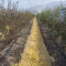 방충농장 이미지