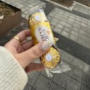 CU [예산수덕사점] | 260116 ~ 260214 : 임신 16주차 ~ 19주차