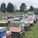 홍길동 농장 이미지