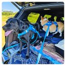 성산보건지소 이미지