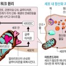 하나네트워크 이미지