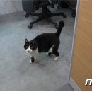 중랑경찰서 이미지