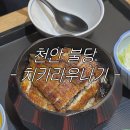100% 내돈내산 천안 히쯔마부시 엉뚱한 곳 가지말고 여기로 ! | 천안 불당동 치카라우나기