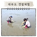 방아머리공원 화장실 | 대부도 방아머리해변 갯벌체험 아이와 함께한 조개잡기 위치부터 준비물 꿀팁까지 총정리