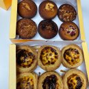 마카오박 이미지