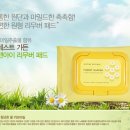 포레스트가든 이미지