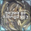 팔딱팔딱 이미지