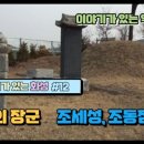 양노리 조세성묘, 조동점묘, 조완묘 이미지