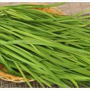 로그짐 잠실역점 이미지