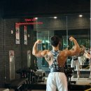 신선호 이미지
