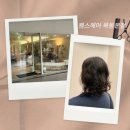 목동 미용실 웬스헤어 _ 도호 디자이너 선생님께 열펌 / 디지털펌 받은 후기