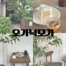 대구 대봉동 카페 드디어 방문한 분좋카 오가닉모가