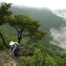 굴암산[屈岩山] 662m 경남 진해 / 김해 이미지