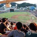 한밭야구장 이미지