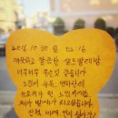 워시엔조이77 이미지
