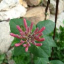 시골놀이터 이미지