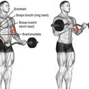 에이스GDR아카데미 이미지