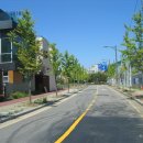 분당-264 이미지