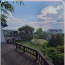 강아지 보호센터 이미지