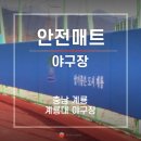 신도안면 야구장 이미지