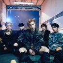 (주)나무그룹 이미지