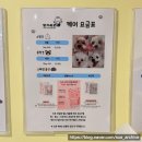 난이꾸꾸 애견미용실 | [경기/안산] 3번 만에 정착한 아기강아지 미용실 댕기세요 내돈내산 후기