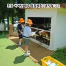 해바담감귤마을교육농장 | 초등 아이랑 제주 동물체험 BEST 10곳, 직접 다녀온 리얼 후기 (시간·반응·선택 포인트까지 정리)