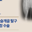 양덕동물병원 이미지