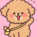 댕댕's 화양연화 이미지