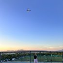 지브리를 품은 클래식 이미지