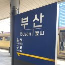 [부산여행] 라마다앙코르해운대/본전돼지국밥/미포끝집/오봉집 1박2일 알찬후기