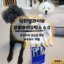 닥터홍 동물병원 | 닥터얼라이브 반려동물 프로바이오틱스 6.0, 기호성 좋은 강아지 유산균 추천 솔직후기